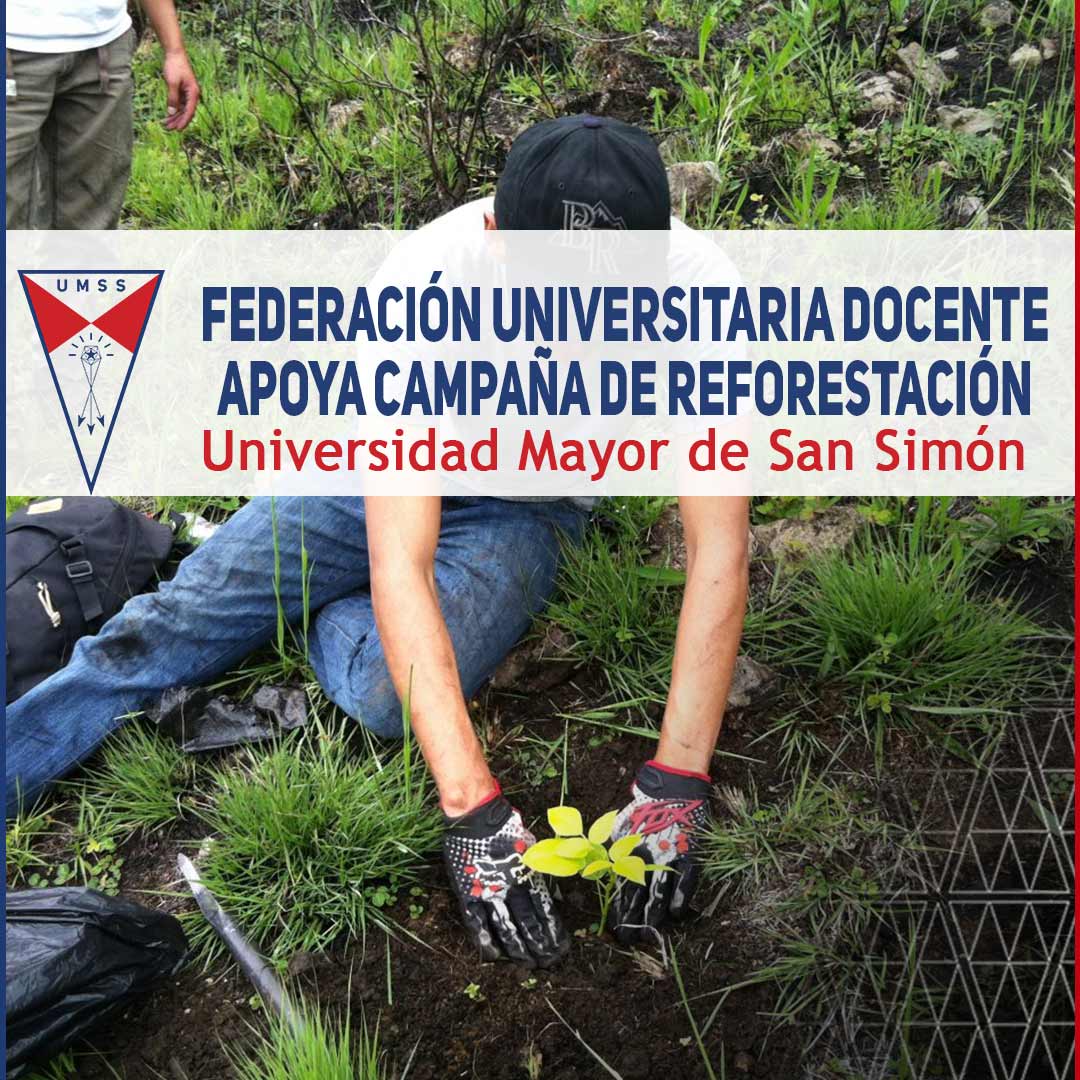 Federación Universitaria Docente Apoya Campaña de Reforestación